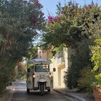 Private & Custom Tours