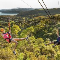 Ziplines