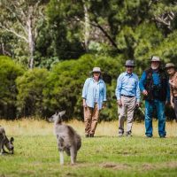 4WD, ATV & Off-Road Tours