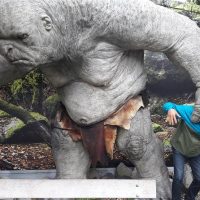Shore Excursions