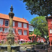 Bus & Minivan Tours