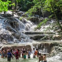 Half-day Tours