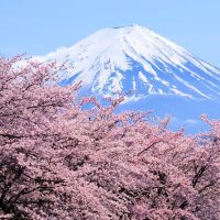 Audio Guided Tours