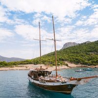 Cruises, Sailing & Water Tours