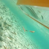 Kayaking & Canoeing