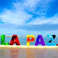 Bus & Minivan Tours