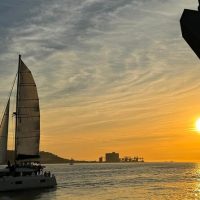 Catamaran Cruises