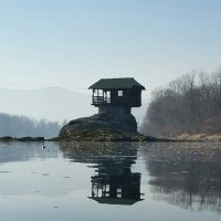 Bus & Minivan Tours