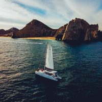 Dolphin & Whale Watching