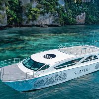 Day Cruises