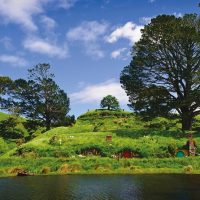 Shore Excursions