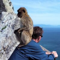 Ports of Call Tours