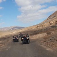 Shore Excursions