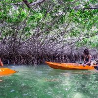 Kayaking & Canoeing