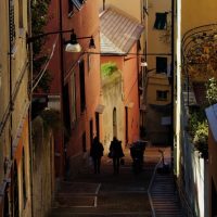 Holiday & Seasonal Tours