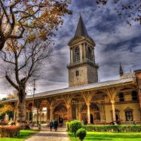 Bus & Minivan Tours