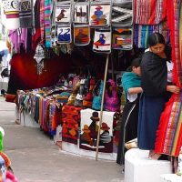 Private & Custom Tours