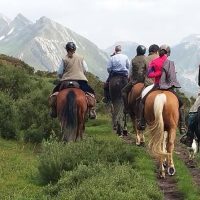 Horseback Riding