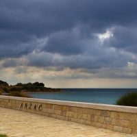Day Trips & Excursions
