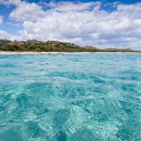 Full-day Tours