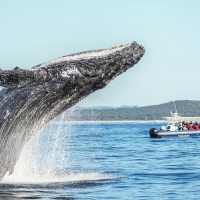 Photography Tours