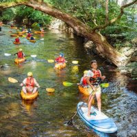 Water Sports