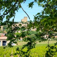 Wine Tasting & Winery Tours