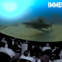 Family-friendly Shows