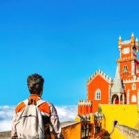 Bus & Minivan Tours
