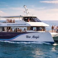 Catamaran Cruises