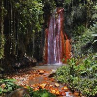Tours & Sightseeing