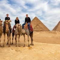 Bus & Minivan Tours