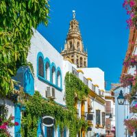 Walking Tours