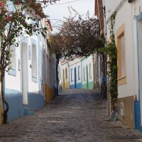 Bus & Minivan Tours