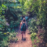Day Trips & Excursions
