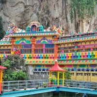 Half-day Tours