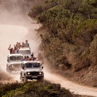 Day Trips & Excursions
