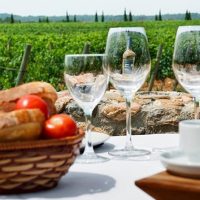 Bus & Minivan Tours