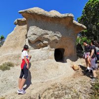 Sustainable Tours