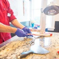 Cooking Classes