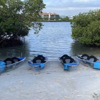 Kayaking & Canoeing