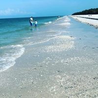 Private & Custom Tours