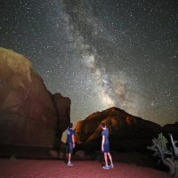 Holiday & Seasonal Tours