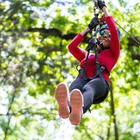 Ziplines