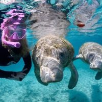 Fishing Charters & Tours