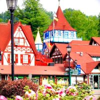 Full-day Tours