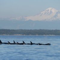 Cruises, Sailing & Water Tours