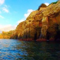 Luxury Tours