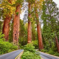 Private & Custom Tours
