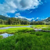 Private & Custom Tours